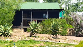 Boland Accommodation at  | Viya