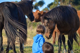 Overberg Accommodation at Laughing Waters Farm | Viya