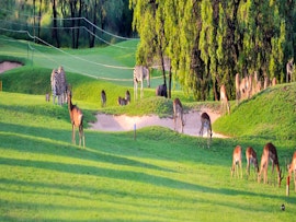 Limpopo Accommodation at Elements Private Golf Reserve | Viya