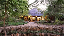 Mpumalanga Accommodation at Motswari Private Game Reserve | Viya