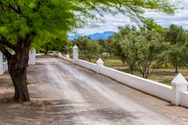 Karoo Accommodation at Olive Grove Guest Farm | Viya