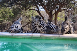 Kruger National Park South Accommodation at Leeus Villa & Cottage | Viya