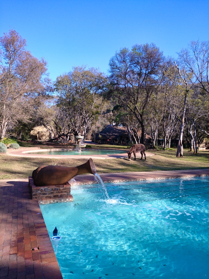 Cradle Of Humankind Accommodation at Hornbill Lodge and Legends Restaurant | Viya