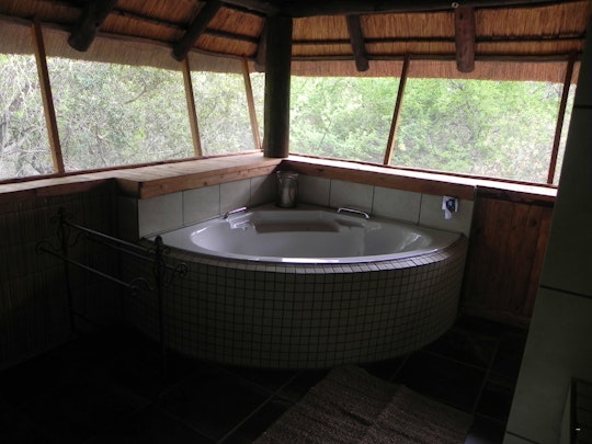 Kruger National Park South Accommodation at  | Viya