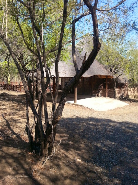 Kruger National Park South Accommodation at  | Viya