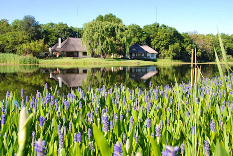 Cradle Of Humankind Accommodation at  | Viya