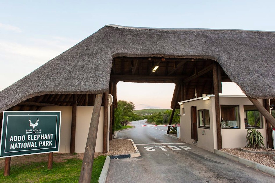 SANParks Addo Rest Camp | LekkeSlaap