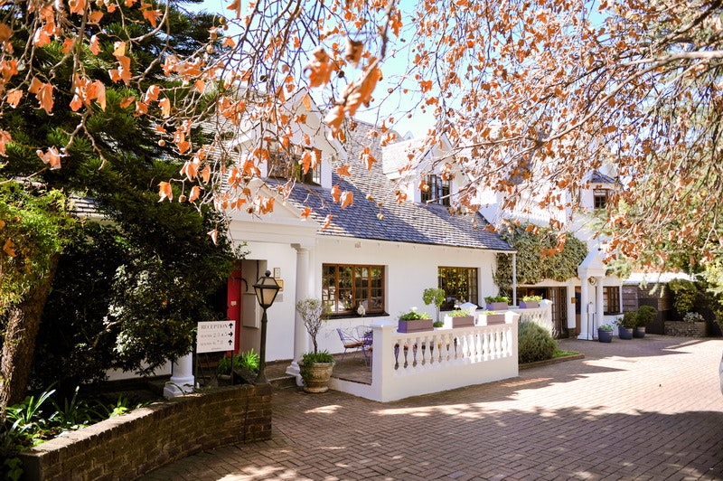 5th Avenue Gooseberry Guest House LekkeSlaap