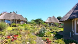 Cradle Of Humankind Accommodation at  | Viya