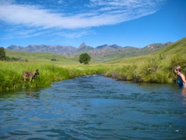 KwaZulu-Natal Accommodation at ThelJean Cottage | Viya