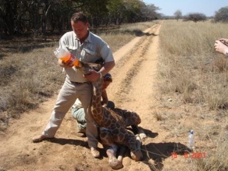 Bambelela Wildlife Care