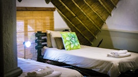 Kruger To Canyons Accommodation at Moholoholo Ya Mati | Viya