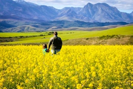 Western Cape Accommodation at Fleckvieh Guestfarm | Viya