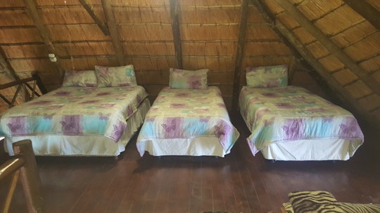 Kruger National Park South Accommodation at  | Viya