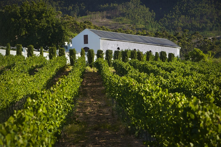 Western Cape Accommodation at Val du Charron Wine & Leisure Estate | Viya