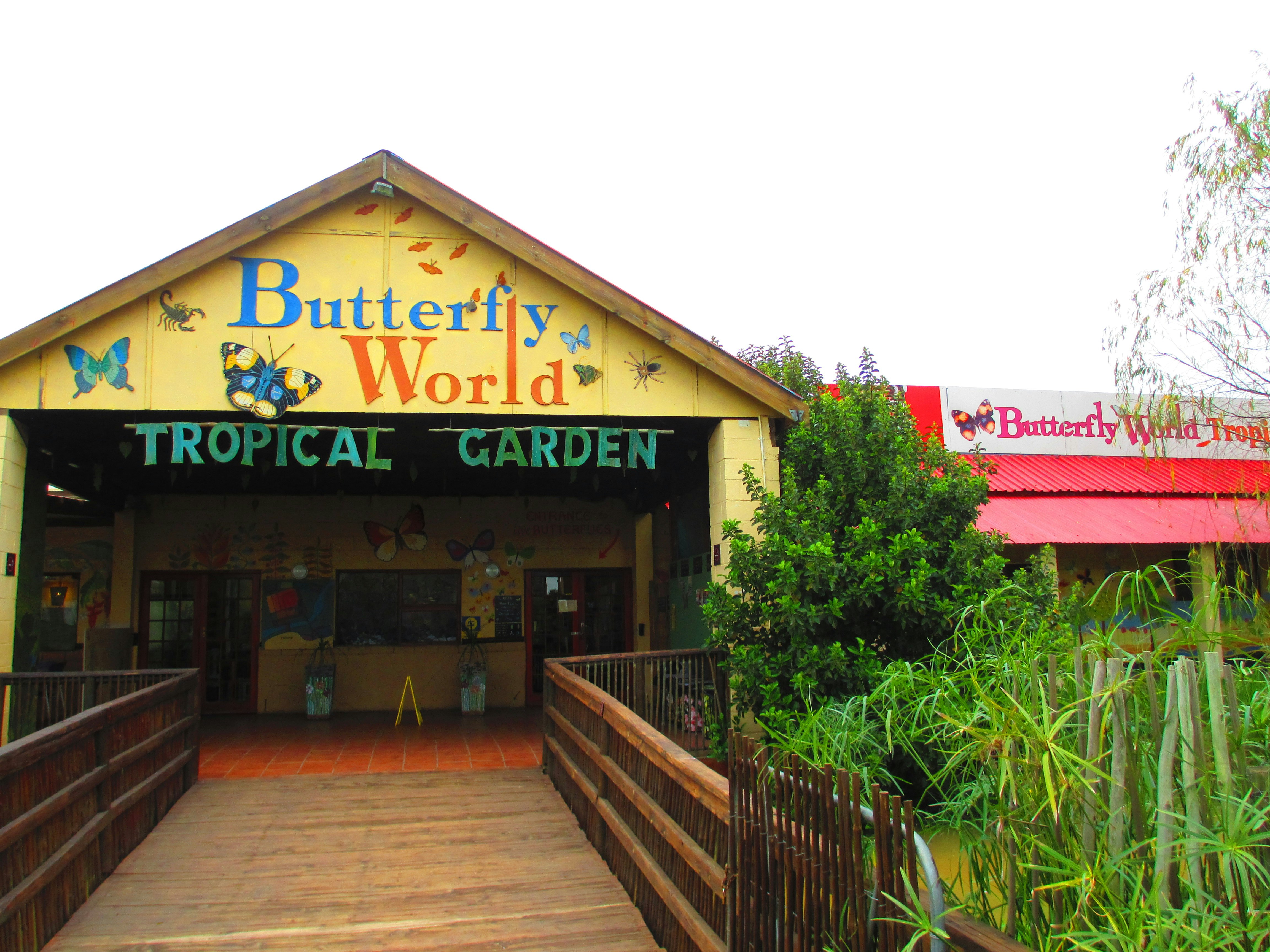 More about Butterfly World TravelGround