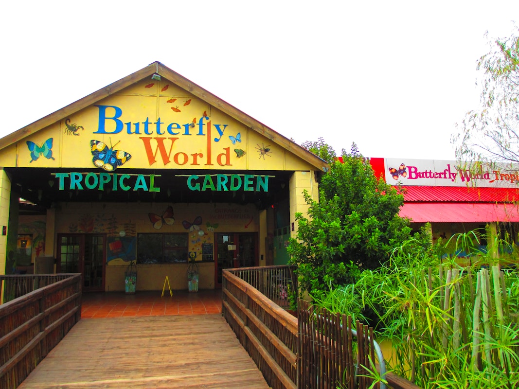 butterfly world ltd tours