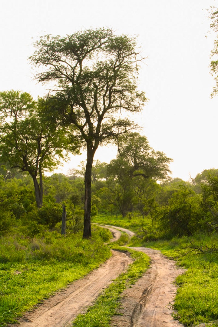 Mpumalanga Accommodation at Ndzhaka Tented Camp | Viya