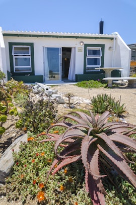 Namaqualand Accommodation at The Beach Cottage Kleinzee | Viya