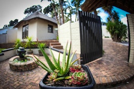 Somerset West Accommodation at  | Viya