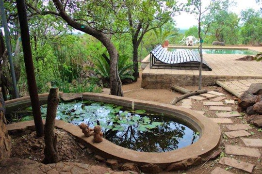 Limpopo Accommodation at  | Viya