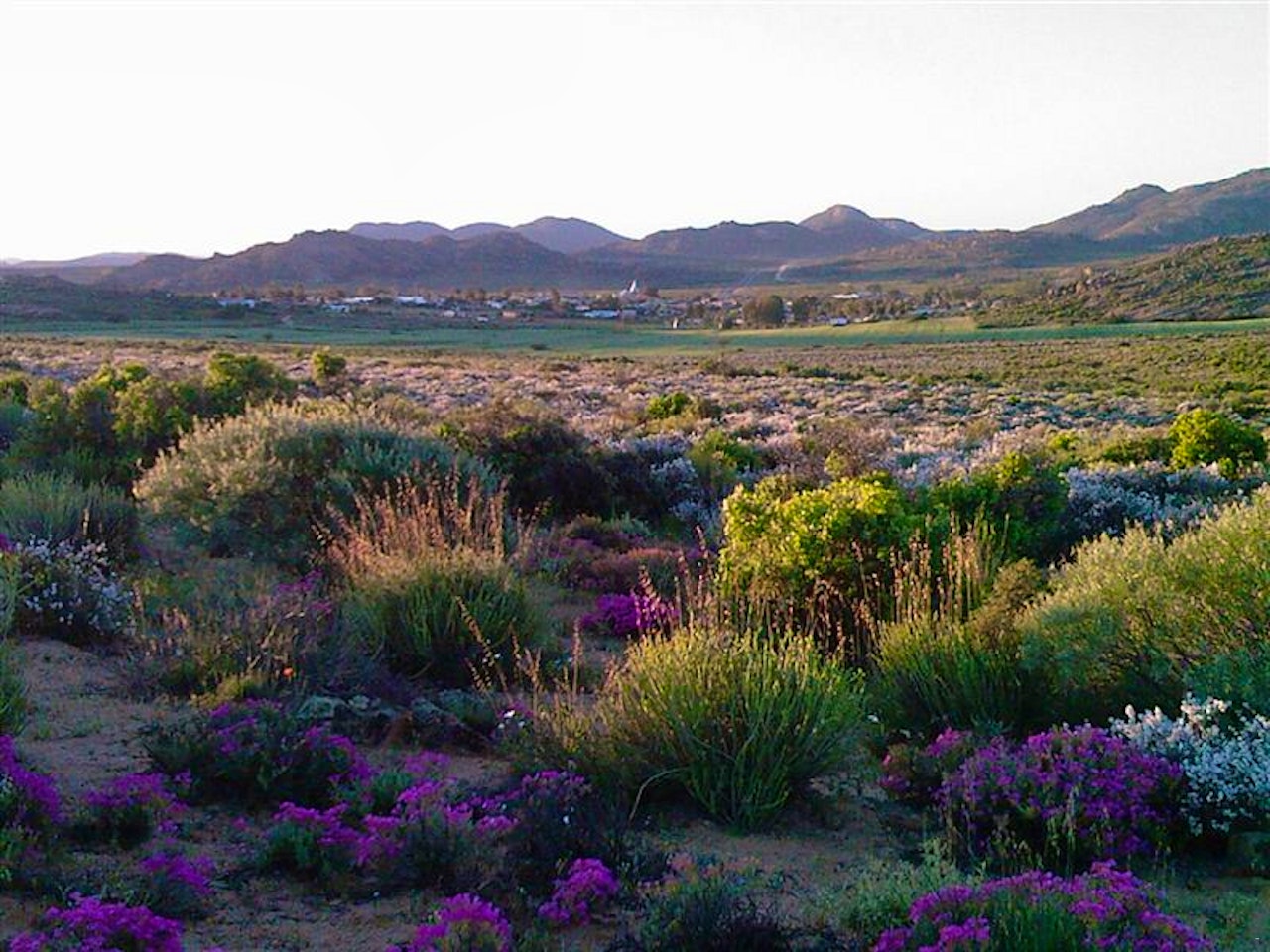 Namaqualand Accommodation at  | Viya