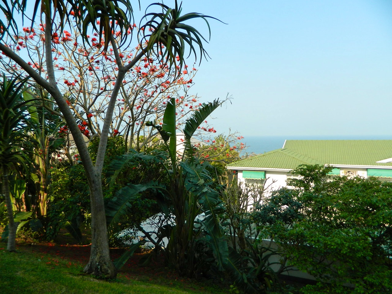 Ballito Accommodation at  | Viya