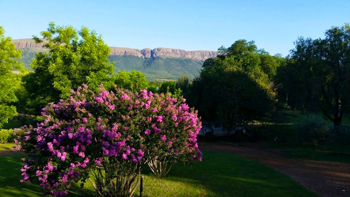 Hartbeespoort Accommodation at Green Willows Guest House | Viya