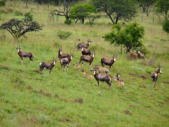 KwaZulu-Natal Accommodation at Slievyre Game Farm | Viya