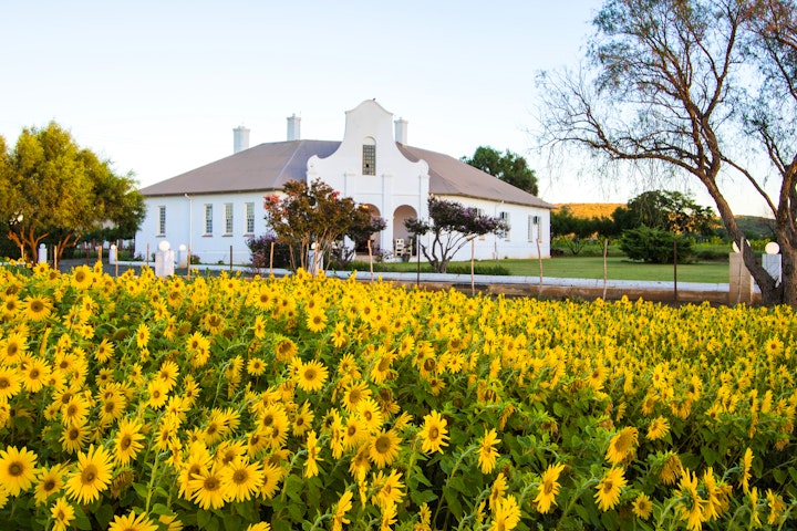 Free State Accommodation at Bethulie Guest Farm | Viya
