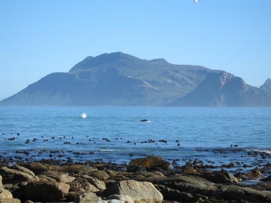 Long Beach, Kommetjie