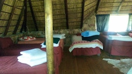 Cradle Of Humankind Accommodation at  | Viya