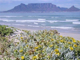 Milnerton Rural Accommodation at Aandvari Zeezicht | Viya