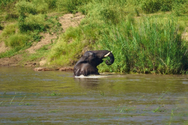 Kruger National Park South Accommodation at Tau Self-catering House | Viya