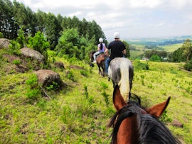 KwaZulu-Natal Accommodation at Stormy Hill Country Cottage | Viya