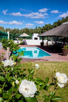 Karoo Accommodation at Olive Grove Guest Farm | Viya