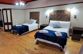 Northern Cape Accommodation at New Rush Guesthouse: The Hut | Viya