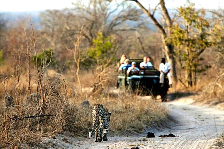 Limpopo Accommodation at Masodini Private Game Lodge | Viya