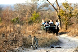 Kruger To Canyons Accommodation at Masodini Private Game Lodge | Viya