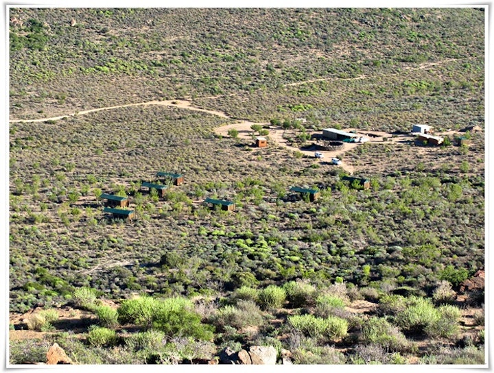 Northern Cape Accommodation at Agama Tented Camp | Viya