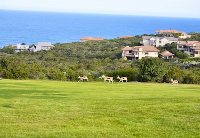  by Mossel Bay Golf Estate | LekkeSlaap