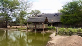 Limpopo Accommodation at Chinaka Game Lodge | Viya