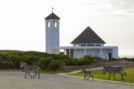 Western Cape Accommodation at Gourikwa Reserve | Viya