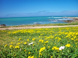 Struisbaai Accommodation at Rus 'n Bietjie | Viya