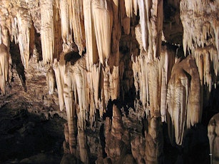 The Wonder Cave