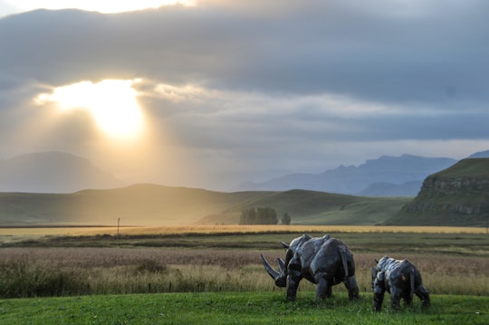 Drakensberg Accommodation at  | Viya