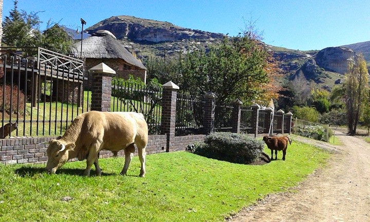Free State Accommodation at Clarens Lakeview Cottage | Viya