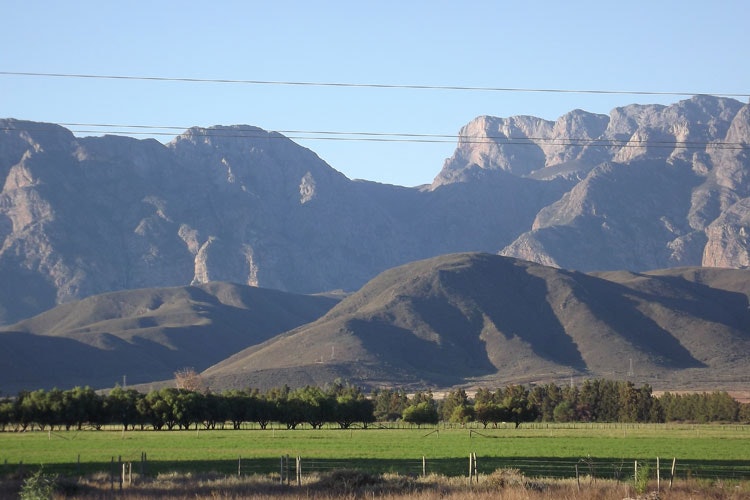 Conradie Family Vineyards