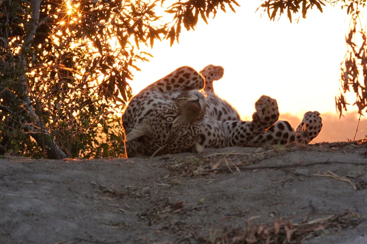 KwaZulu-Natal Accommodation at Leopard Mountain Safari Lodge | Viya