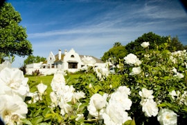 Cape Winelands Accommodation at Excelsior Manor Guesthouse | Viya